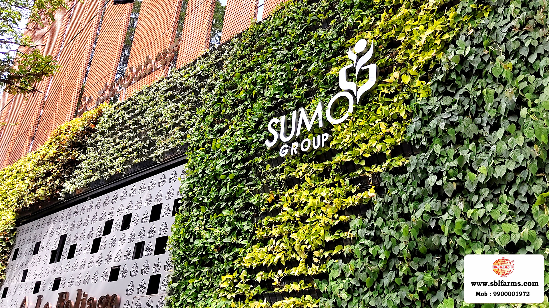 Sbl Farms Green walls and Living walls, Vertical Garden, Bio Curtains,Green wall or vertical garden installed  for Le Foliage hotel  in JP Nagar Bangalore from SBL Farms